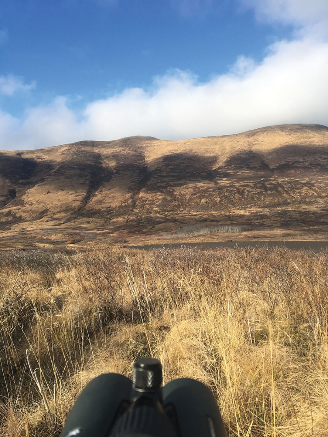 Glassing for Sitka blacktail bucks on the last day of the trip.